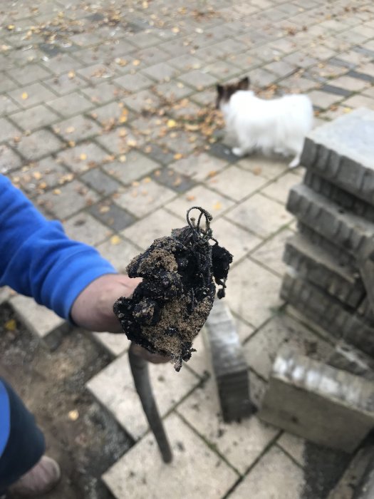 Hand håller bränd elektrisk kabel mot en bakgrund med tegelstenar och en liten vit hund.