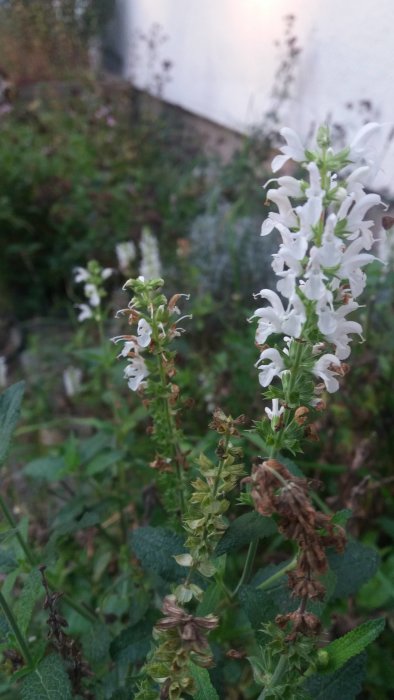 20170930_173921.jpg