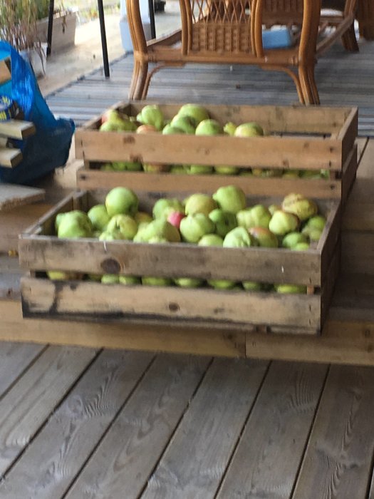 Träbackar fulla med nyplockade gröna äpplen på en träveranda.