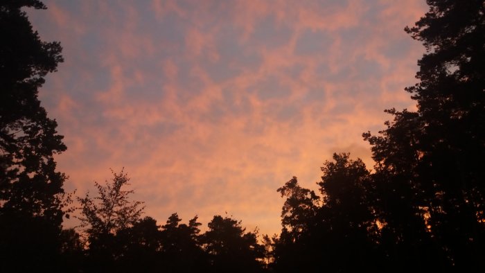 Färgrik soluppgång med orangea och rosa moln över silhuetten av träd.