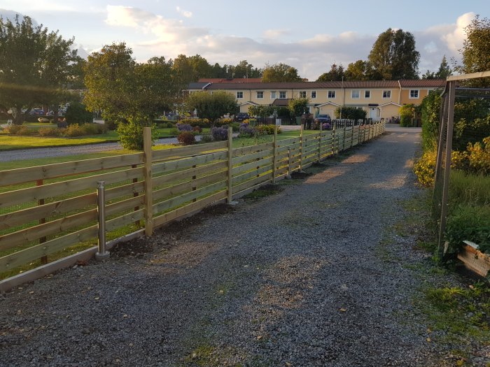 Nästan färdigmonterat trästaket längs en grusgång med gula radhus i bakgrunden.