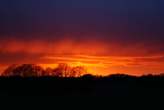 Dramatisk solnedgång med intensiva röda och orange färger bakom silhuett av träd.