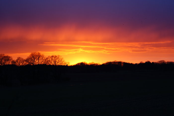 En dramatisk solnedgång med rika orange och röda färger över ett landskap med träd och ett öppet fält.