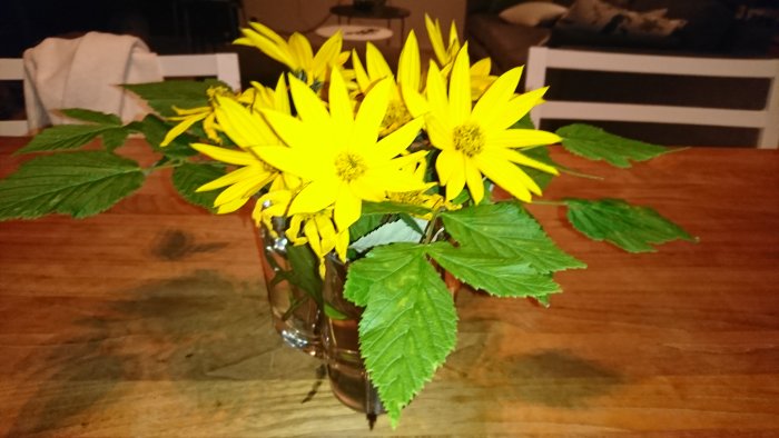 En bukett av gula jordärtskocksblommor med gröna hallonblad på ett träbord.