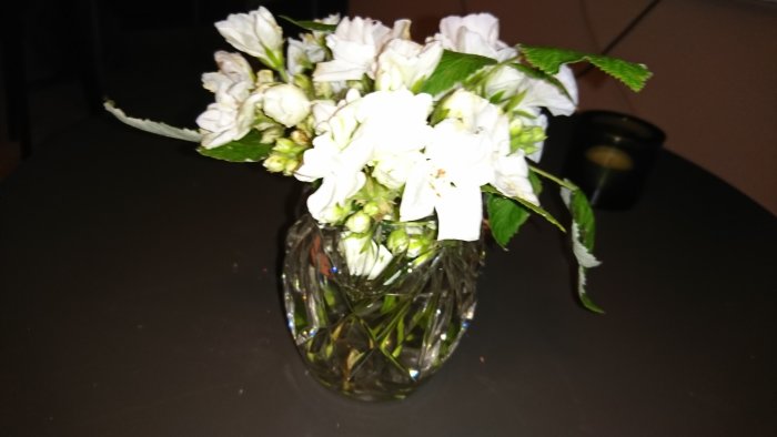 Vit hortensia som snittblommor i en kristallvas på mörk yta.