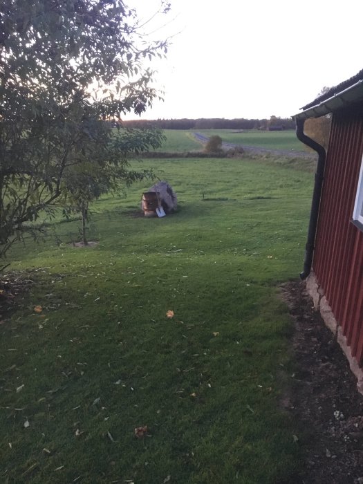 Utsikt över en gräsmatta vid skymning med ett litet träd och en stenhög med ved nära en röd husvägg.