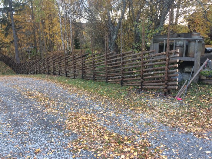 Nyuppsatt traditionell gärdsgård längs en grusväg med höstlöv och träd i bakgrunden.