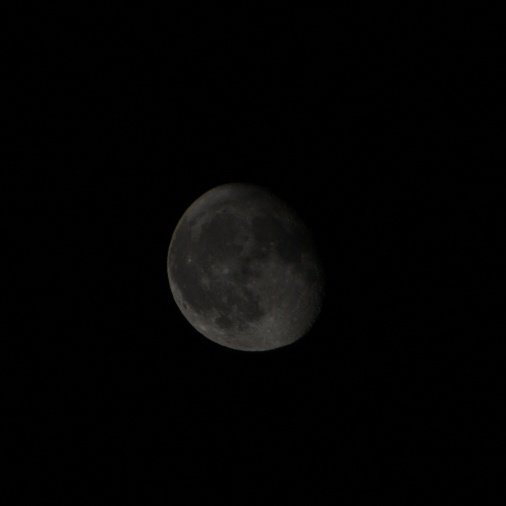 Månen i halvbelysning mot en svart himmel.