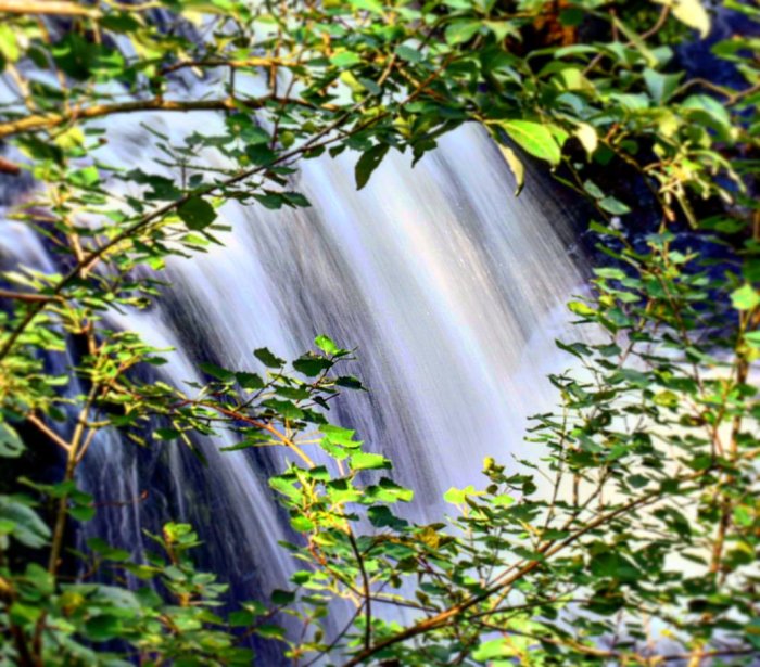 Grener i förgrunden med en suddig vattenfallseffekt i bakgrunden, fotograferad utan stativ.