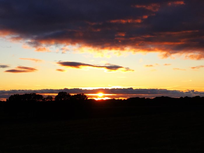 Solnedgång med dramatiskt orangefärgade moln över ett mörkt fält.