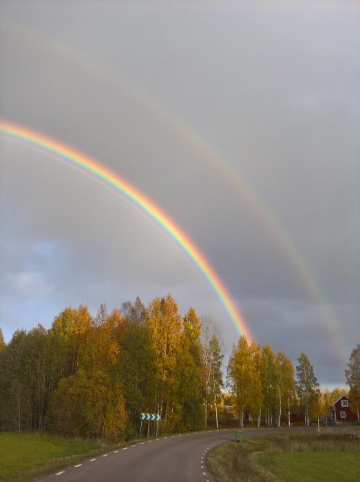 Dubbla regnbågar över en höstlig landsväg med björkträd och ett rött hus.