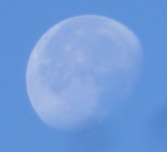 Fullmånen synlig på en klar blå förmiddagshimmel.