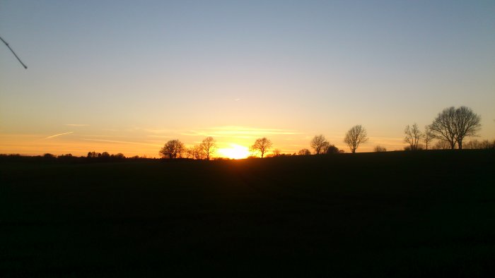 Solnedgång över ett fält med träd silhuetter och en pinne i förgrunden.