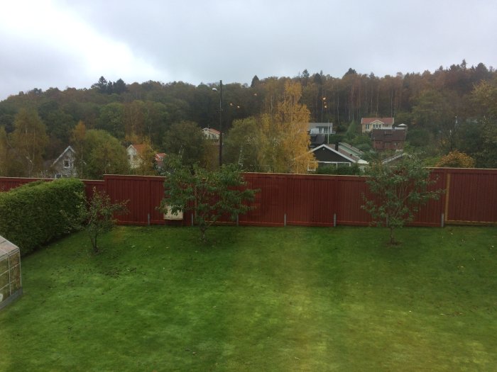 Well-trimmed trees in a backyard with red fence, overlooking a suburban area on an overcast day.