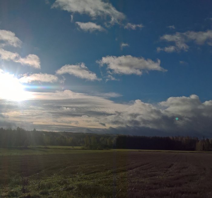 Morgonsol över ett öppet fält med skog i bakgrunden och moln på himlen.
