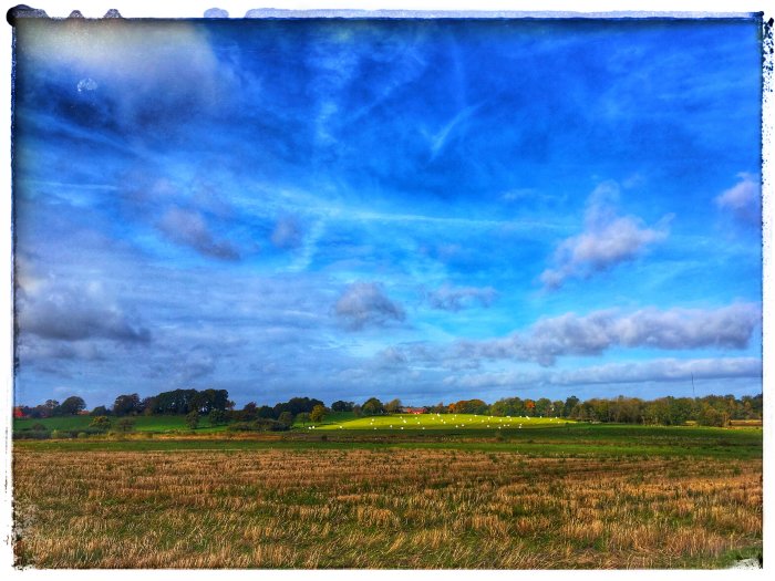 Färgglatt, kontrastrikt skånskt landskap med öppna fält, träd och himmel med moln.