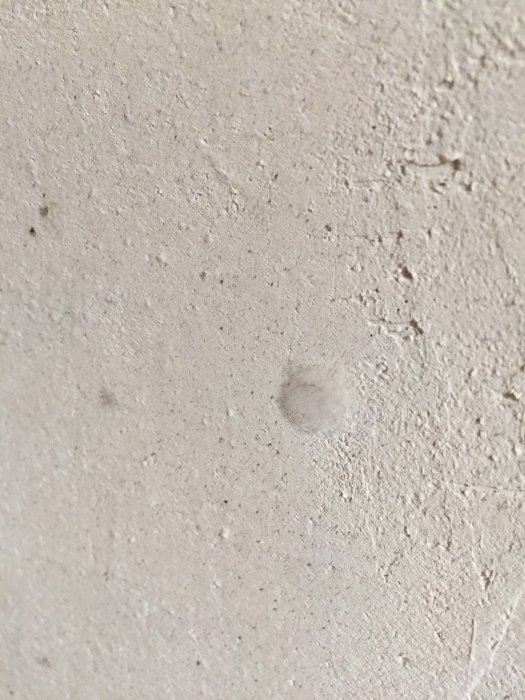 Nyputsad källarvägg med misstänkt mögelprick.