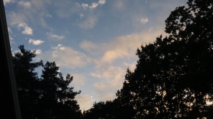 Kvällshimmel med mjukt ljus som filtreras genom moln ovanför silhuetter av trädtoppar.