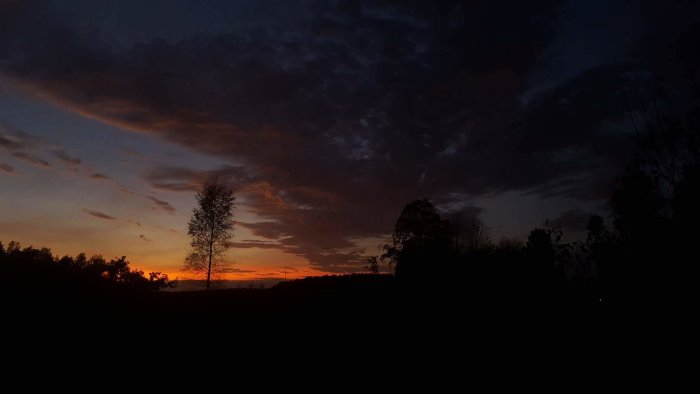 Enstaka träd silhuetteras mot en himmel i skymningen med nyanser av orange och blått.