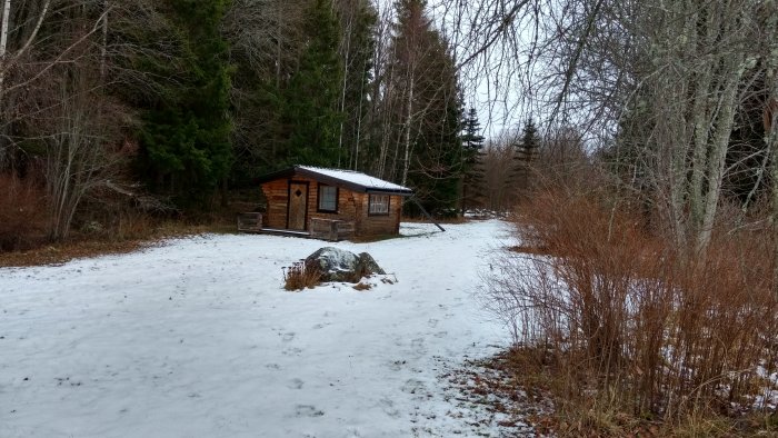 Trästuga med snötäckt tak i ett vinterskoglandskap med lite snö på marken.