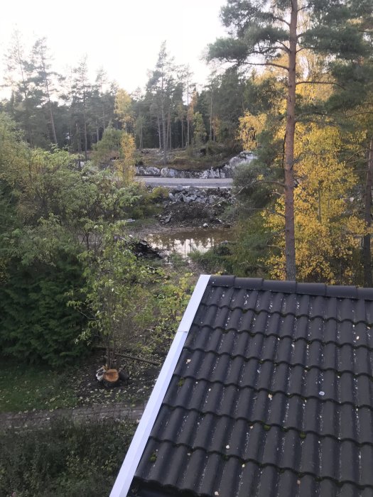 Vy över ett tak mot en vattenansamling med omgivande träd och buskar i skymningen.
