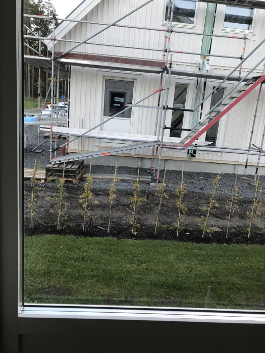 Vy från fönster på ett hus under renovering med byggställningar och nyanlagd häck.