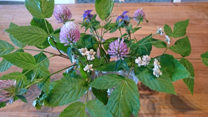 Bukett av vilda blommor och blad på träbord, insamlade från naturtomt.