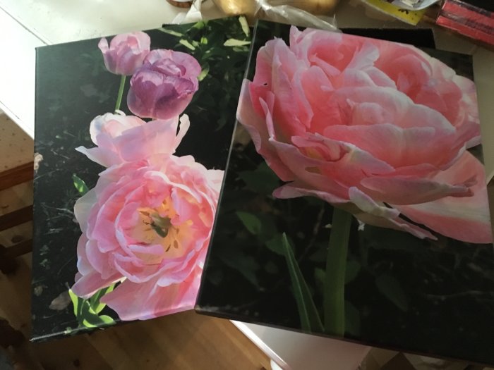 Två tavlor med blomtryck på köksbänk, en med rosa tulpaner och en med en stor pion.