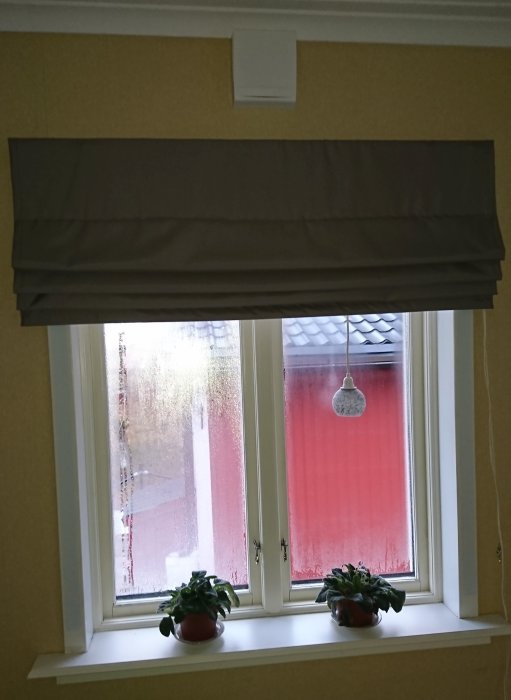 Fönster med kondens på insidan och hissgardin, två blomkrukor på fönsterbrädan.
