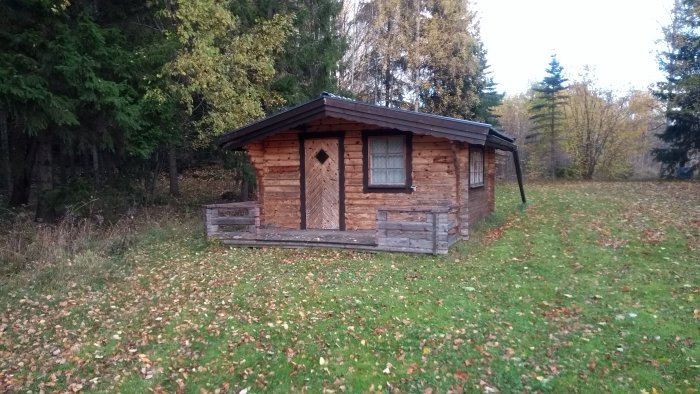 En liten timmerstuga med veranda i en lummig trädgård täckt av höstlöv.