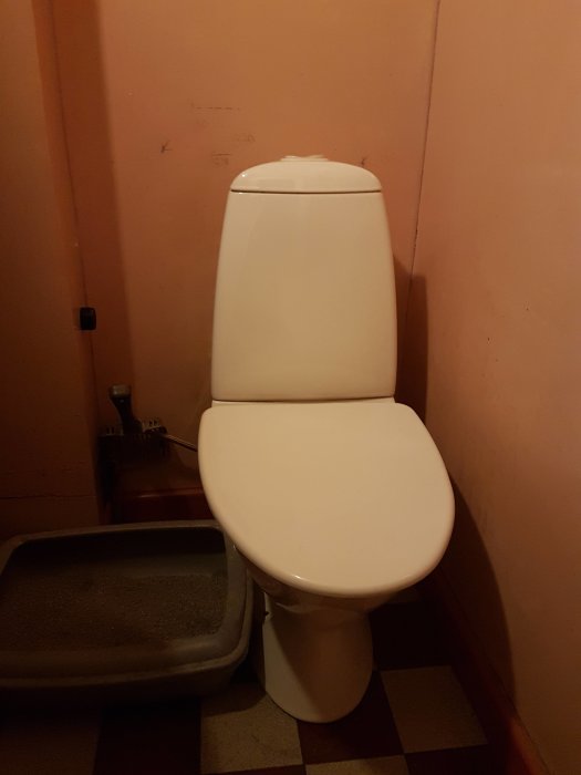 En glasägerplatta och en vanlig stående toalett i ett badrum under renovering.
