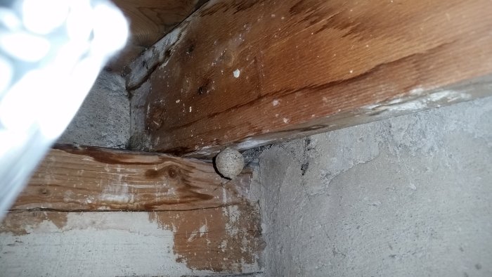 Klotrunt föremål på cirka 2-3 cm i diameter troligtvis ett insektsbo, på en vind mellan träbjälkar.