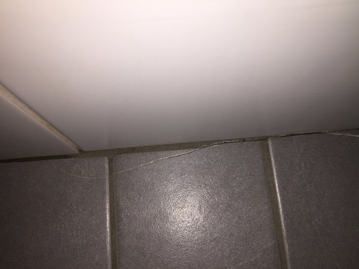 Sprickor i badrumsklinker längs väggen, indikerar tryckskada utan synlig läckage.