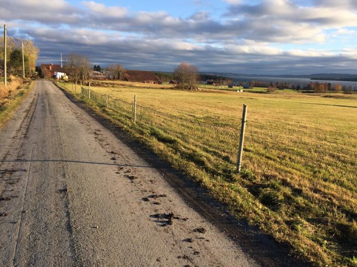 Privat väg som korsar en jordbruksmark med staket och åker i bakgrunden.