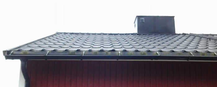 Närbild på ett hus med ett mörkt plåttak, skarv synlig vid takfoten ovanför en röd ränna, mossa nära rännan.