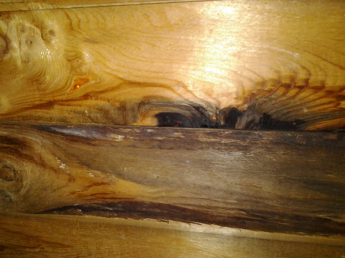 Två träbrädor, den övre är ljus och frisk medan den undre mörk och möjligen fuktskadad eller möglig.