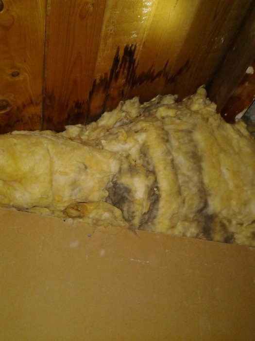 Träpanel med svarta fuktmärken nära isolering som uppvisar missfärgning och potentiella vattenskador.