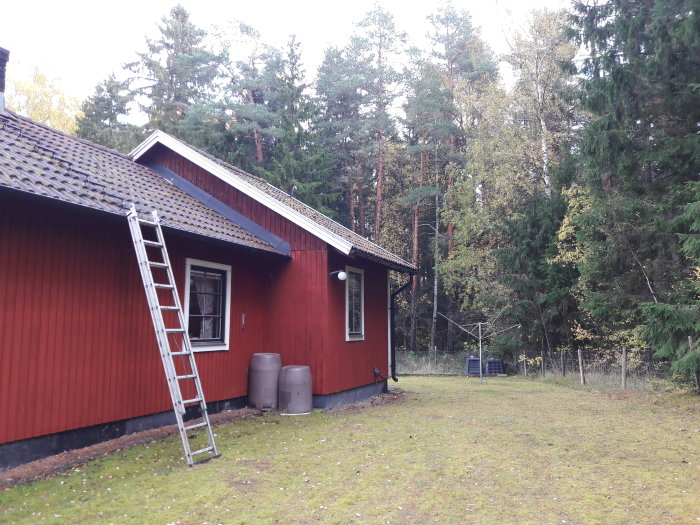 Röd trävilla med en stege lutad mot ena gaveln och skog i bakgrunden.