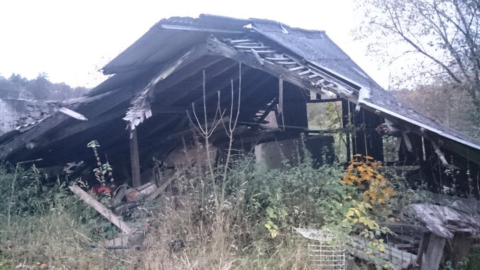Raserat stallbyggnad med skadat tak och växtlighet som tar över.