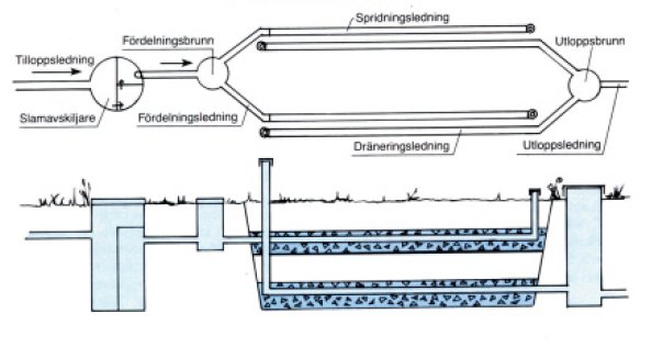 Schematisk illustration av markbädd för avloppsvatten med till- och utloppsledningar samt fördelningsbrunnar.