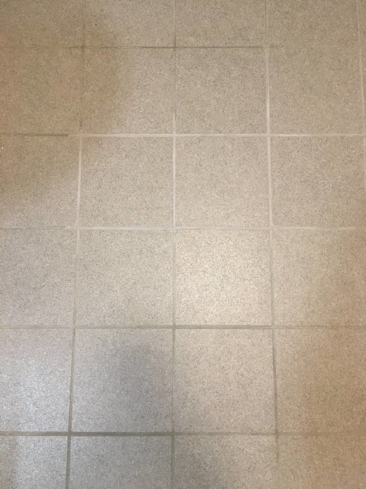 Fläckiga och missfärgade fogar på ett ljusgrått, sex månader gammalt badrumsgolv.