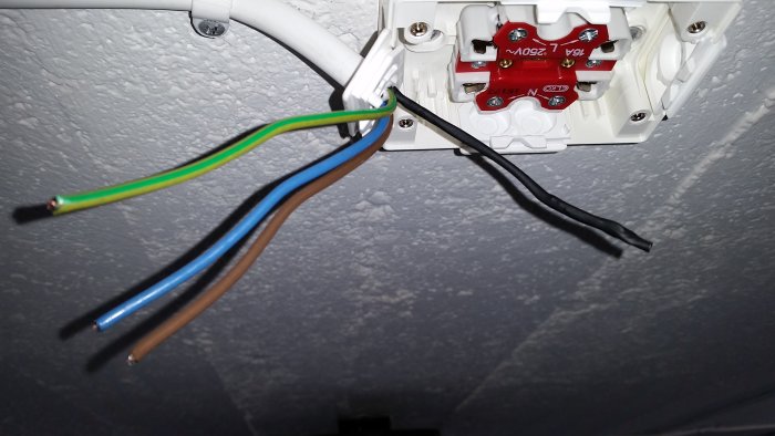 Elektriska kablar med grovklippta ändar framför en öppen elektrisk anslutningsdosa i taket.