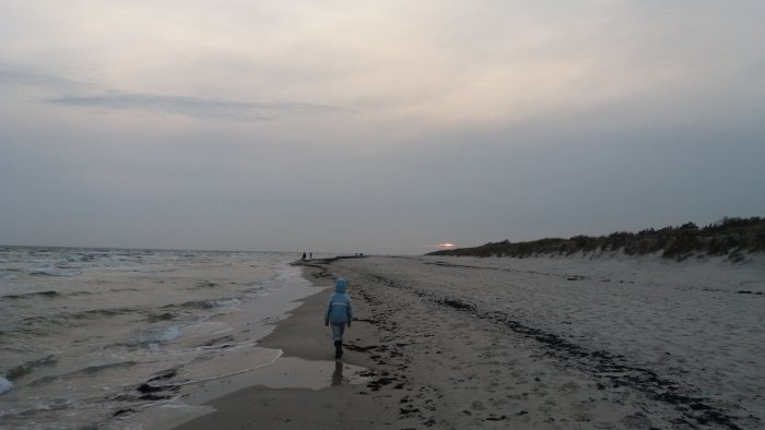 Person går på Sandhammarens strand med fyren tänd i bakgrunden vid solnedgång.