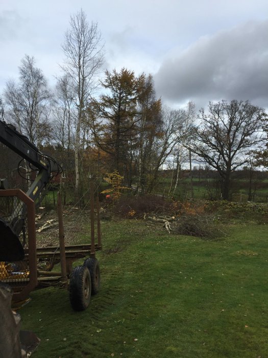 Trädgård efter röjning vid bäcken med grenar på marken och släpvagn i förgrunden.