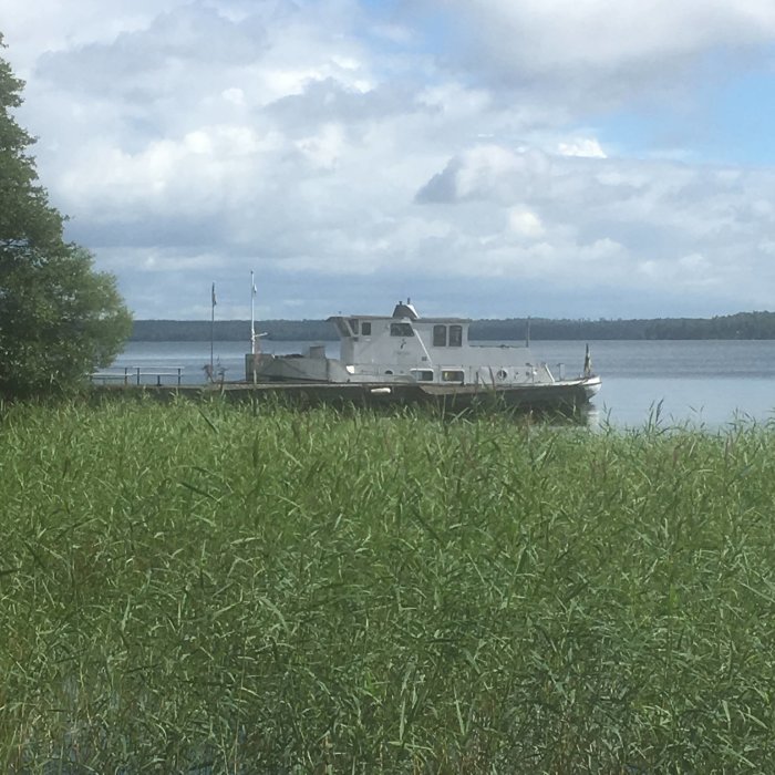 En båt vid en brygga bakom ett fält av högt gräs mot en bakgrund av lugnt vatten och molntäckt himmel.