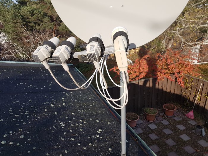 Satellitparabol med fyra Universal LNBs monterade på en metallarm, mot en bakgård med växter.