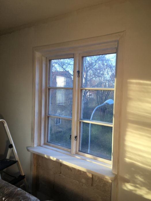 Två nyligen grundade fönsterramar i ett ljust rum, med utsikt över träd och en stege i förgrunden.