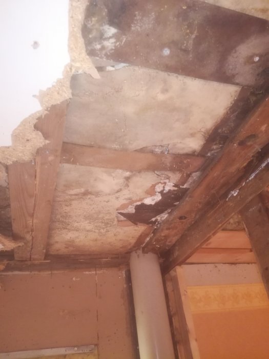 Bild av ett rivet innertak med synliga takbjälkar och tecken på mögelskador på trä- och isoleringsmaterial.