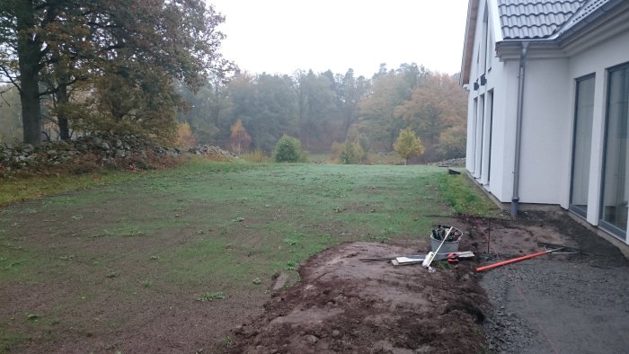 Nysådd gräsmatta med sparsam gräsbevuxning och trädgårdsverktyg intill huset.