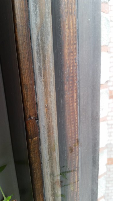 Fönsterkarm med möjliga mögelangrepp mellan två fönsterglas.